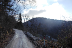 4_P8030695-
