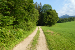 P8030665