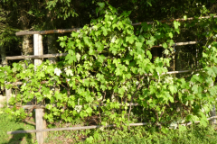 P8030671