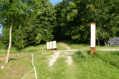P8030678