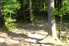 P8030690