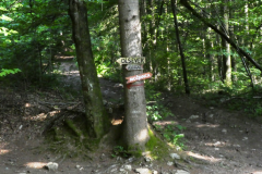 P8030691