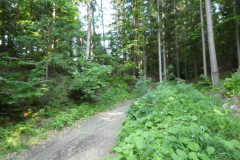 P8030694