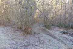 P8030695