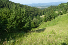 P8030699