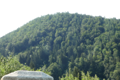 P8030713