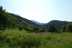 P8030718