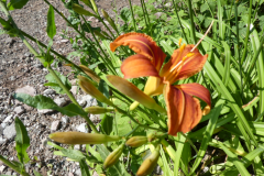 P8030722