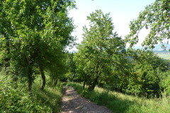 P8030731