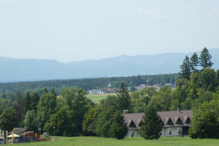 P8030762