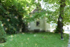 P8030781