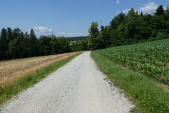 P8030801
