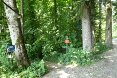 P8030802