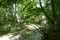 P8030803