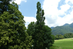 P8030808